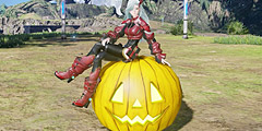 待機:かぼちゃに座る.jpg 待機:かぼちゃに座る.jpg