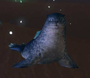 ラムルオタリカ.jpg ラムルオタリカ.jpg